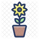 Sonnenblume  Symbol