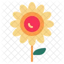 Sonnenblume  Symbol