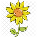 Sonnenblume Helianthus Blume Symbol