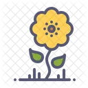 Sonnenblume  Symbol