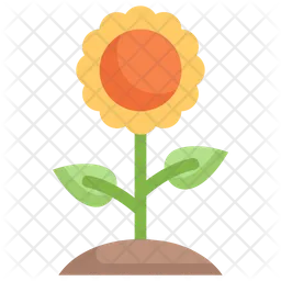 Sonnenblume  Symbol