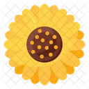 Helianthus Sonnenblume Blume Symbol