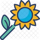 Sonnenblume  Icon