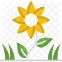 M Sonnenblume Symbol