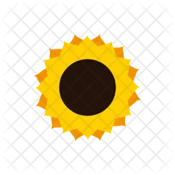 Sonnenblume  Symbol