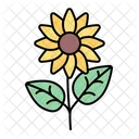 Sonnenblume  Symbol