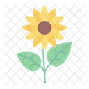 Sonnenblume Blume Pflanze Symbol