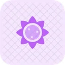 Sonnenblume Symbol