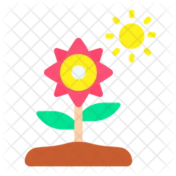 Sonnenblume  Symbol