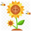 Sonnenblume  Symbol