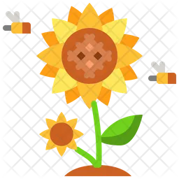 Sonnenblume  Symbol