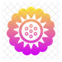 Sonnenblume Icon