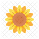 Sonnenblume Symbol