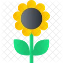 Sonnenblume Blume Natur Icon