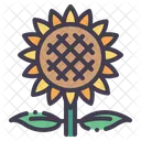 Sonnenblume  Symbol