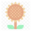 Sonnenblume  Symbol