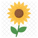 Sonnenblume  Symbol