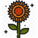 Sonnenblume Blute Botanisch Symbol