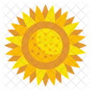 Sonnenblume Blute Blutenblatter Icon