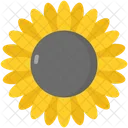 Sonnenblume Symbol