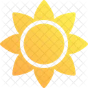 Sonnenblume Icon