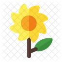 Sonnenblume  Symbol