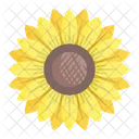 Sonnenblume Blume Blumen Symbol