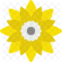 Sonnenblume Symbol