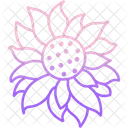 Sonnenblume  Icon