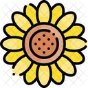 Sonnenblume  Symbol