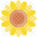 Sonnenblume  Icon