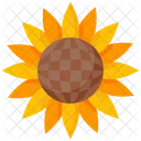 Sonnenblume  Symbol