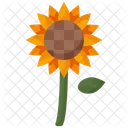 Sonnenblume  Symbol