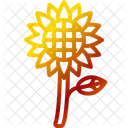 Sonnenblume  Icon