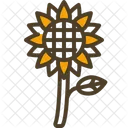 Sonnenblume  Symbol