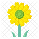 Sonnenblume  Symbol