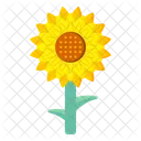 Sonnenblume  Symbol