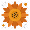 Sonnenblume  Symbol