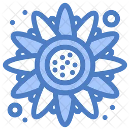 Sonnenblume  Symbol