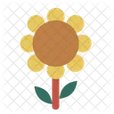 Sonnenblume  Symbol