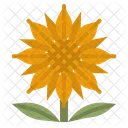 Sonnenblume  Symbol