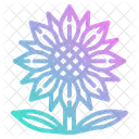 Sonnenblume  Icon