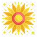 Sonnenblume Blute Natur Blutenblatter Botanisch Sommer Pflanze Icon