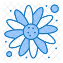 Sonnenblume  Symbol