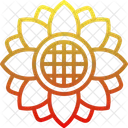 Sonnenblume  Icon