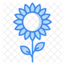 Sonnenblume  Icon