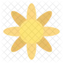 Sonnenblume  Symbol