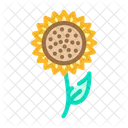 Sonnenblume  Symbol