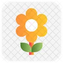 Sonnenblume  Icon