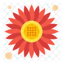 Sonnenblume  Symbol